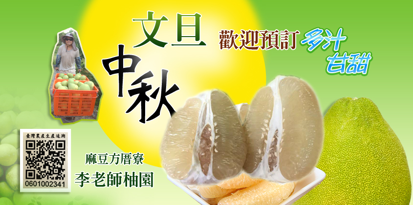 麻豆40年老欉文旦禮盒